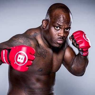 Melvin Manhoef: A Comprehensive Overview of the MMA Fighter's Journey