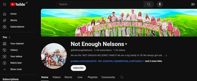 SaiDee Nelson: A Glimpse into the Life of a YouTube Star